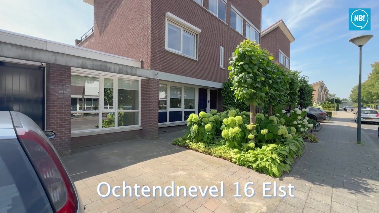 Video van Ochtendnevel 16