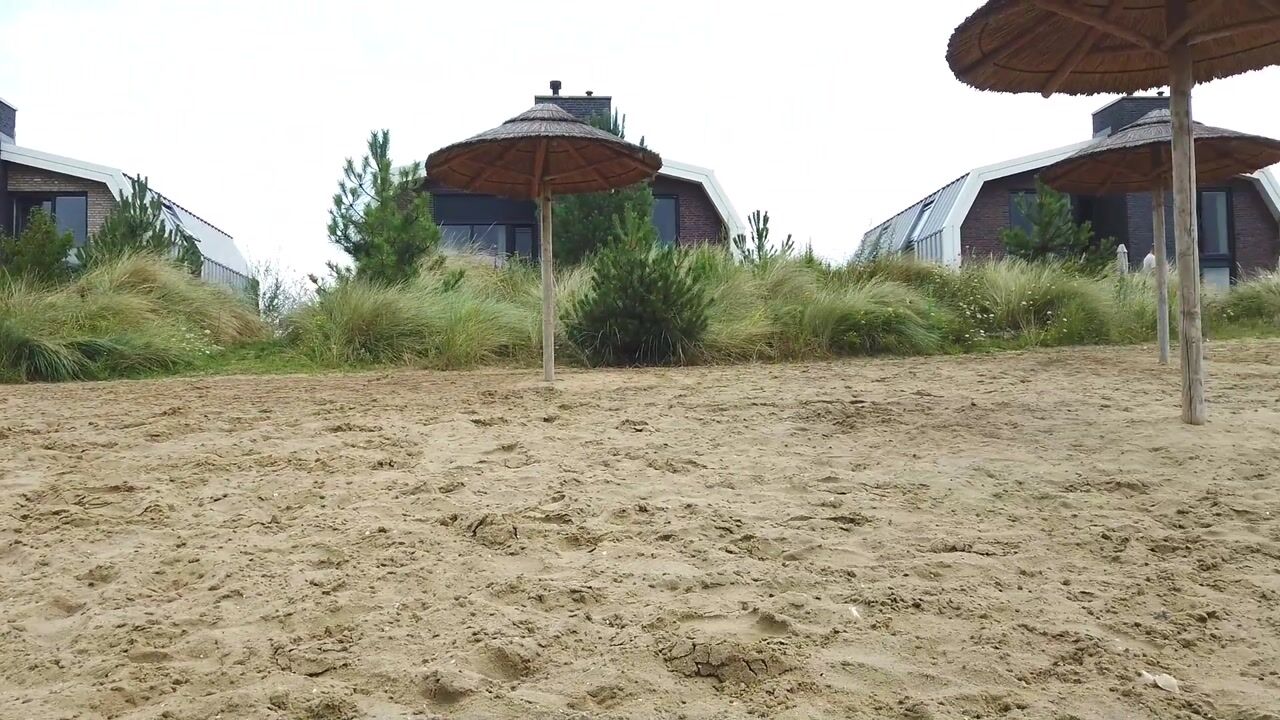 Video van Den Drul 19