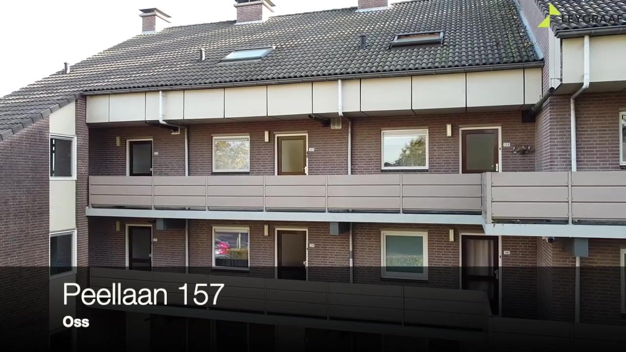 Video of Peellaan 157