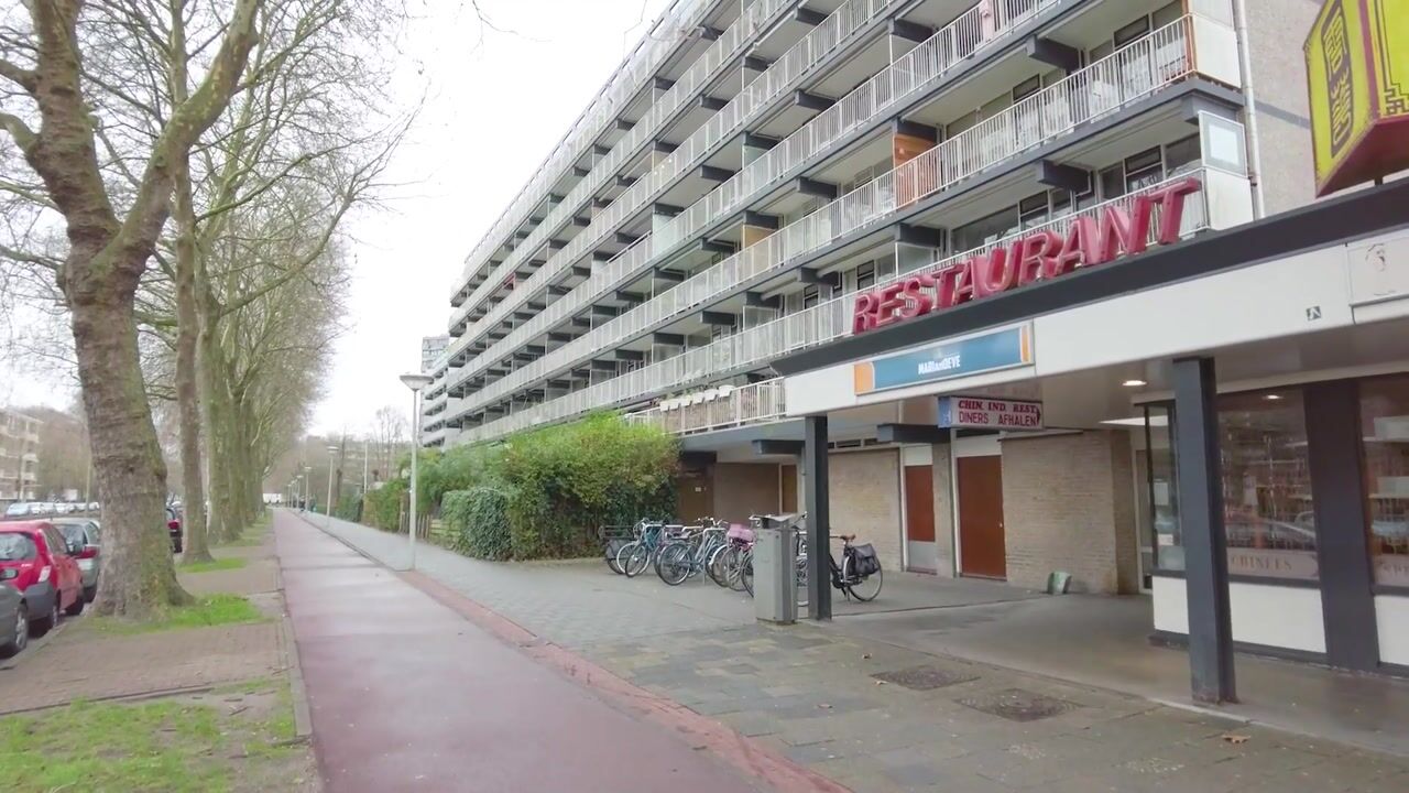 Video van Granaathorst 313