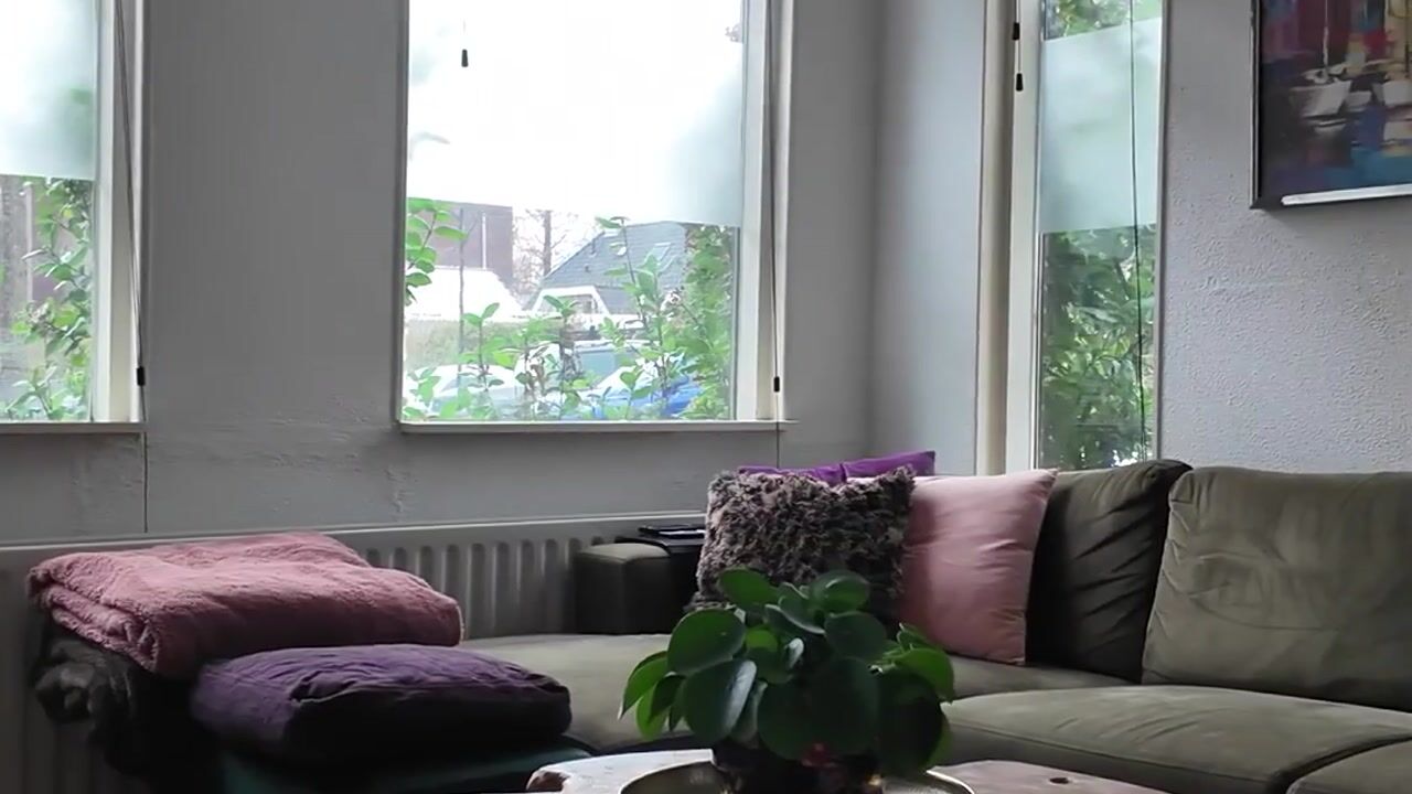 Video of van Strijenstraat 46