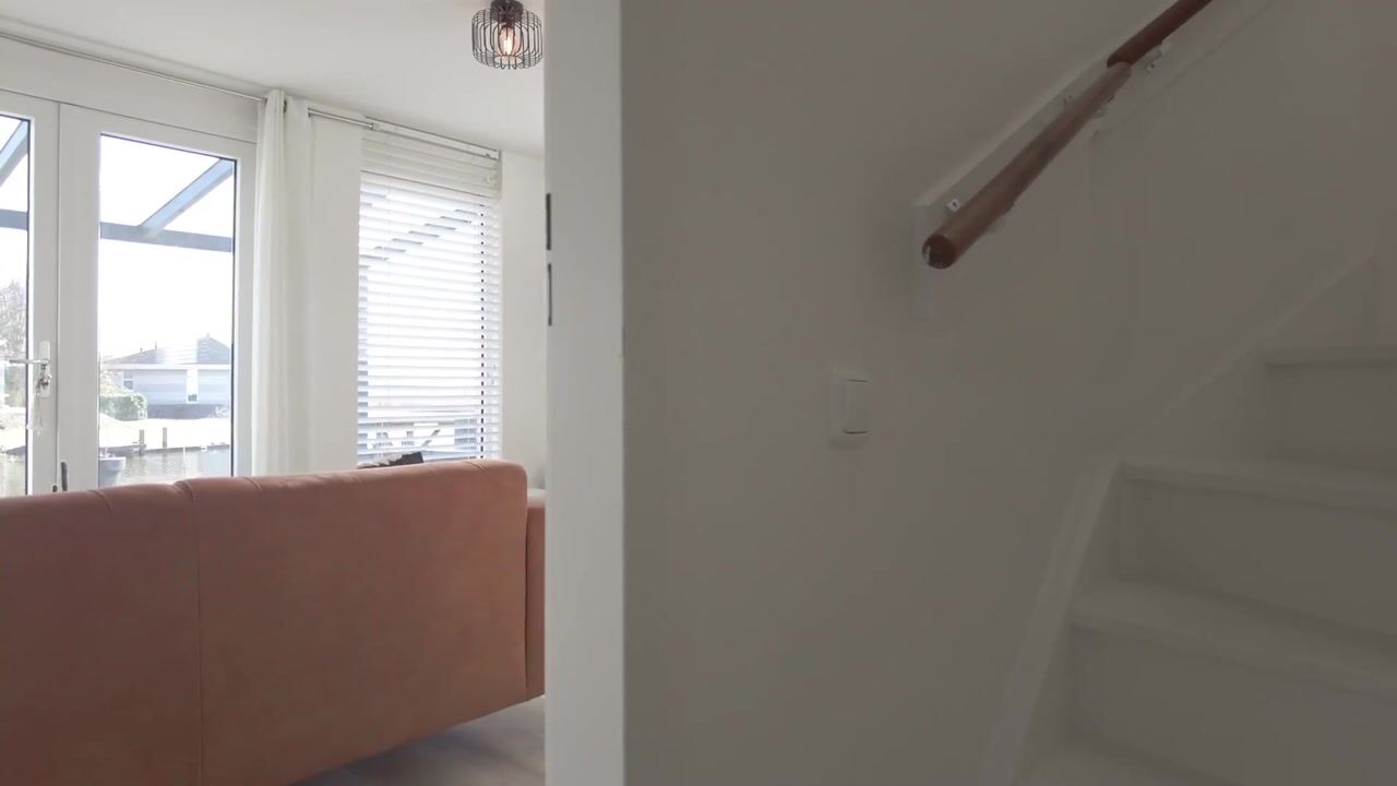 Video van Friesche Vlaak 30