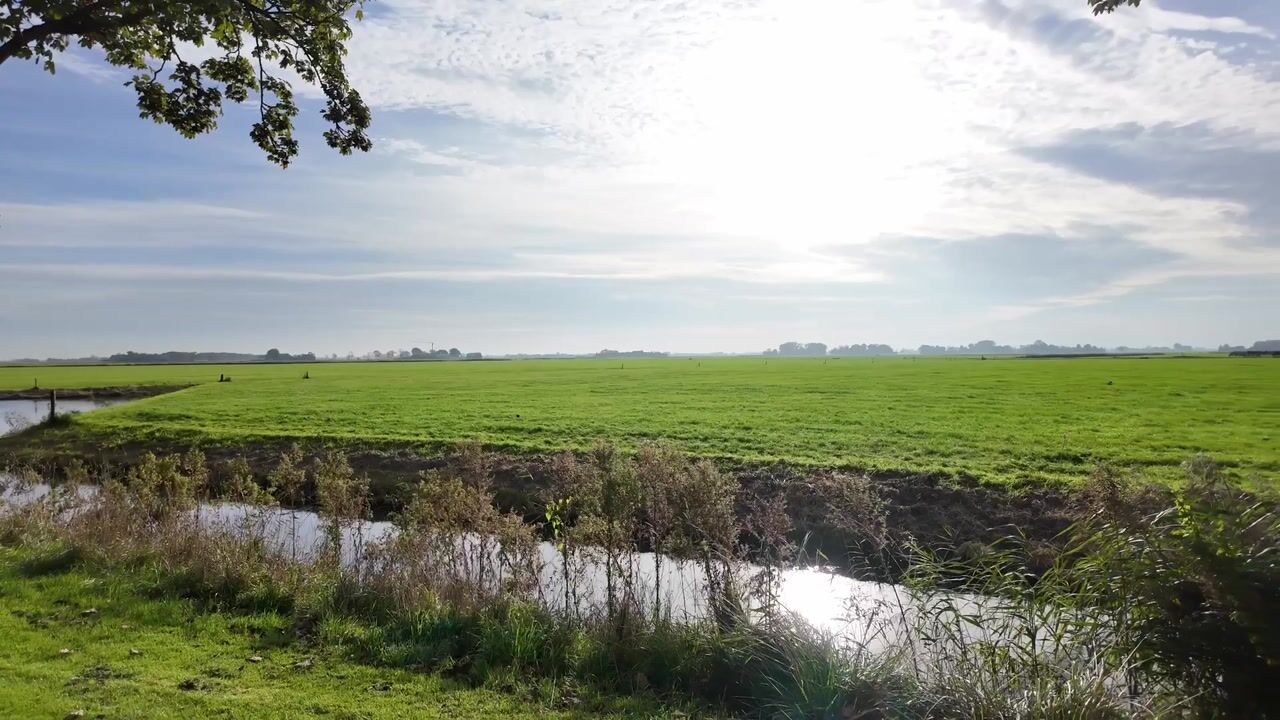 Video van De Acacia 18