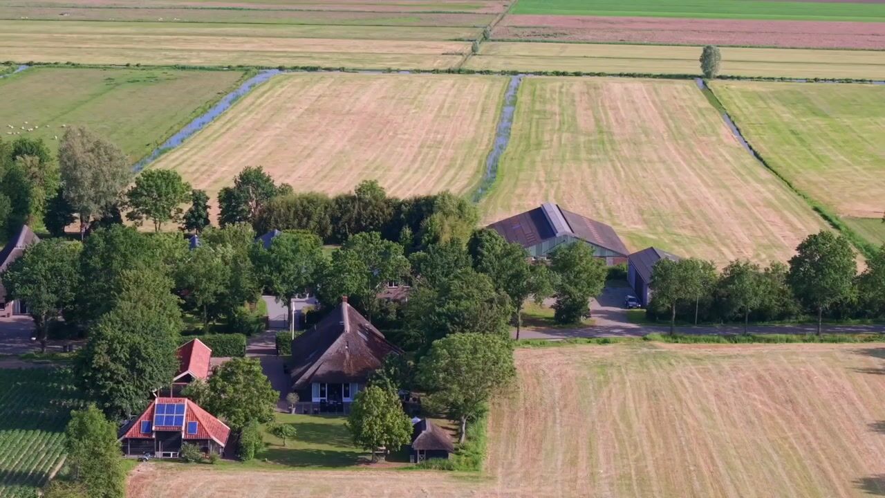 Video van Leeuwte 20