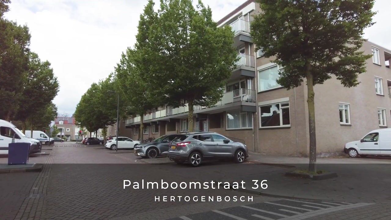 Video of Palmboomstraat 36