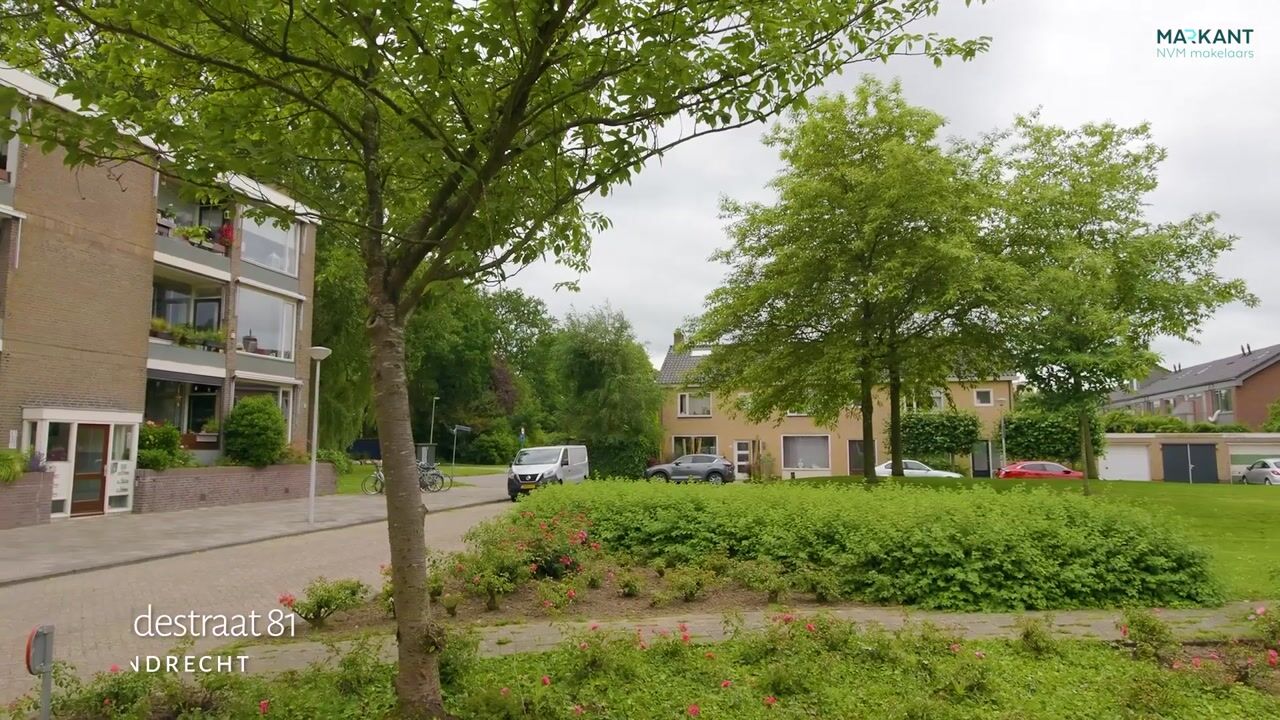 Video van Scheldestraat 81