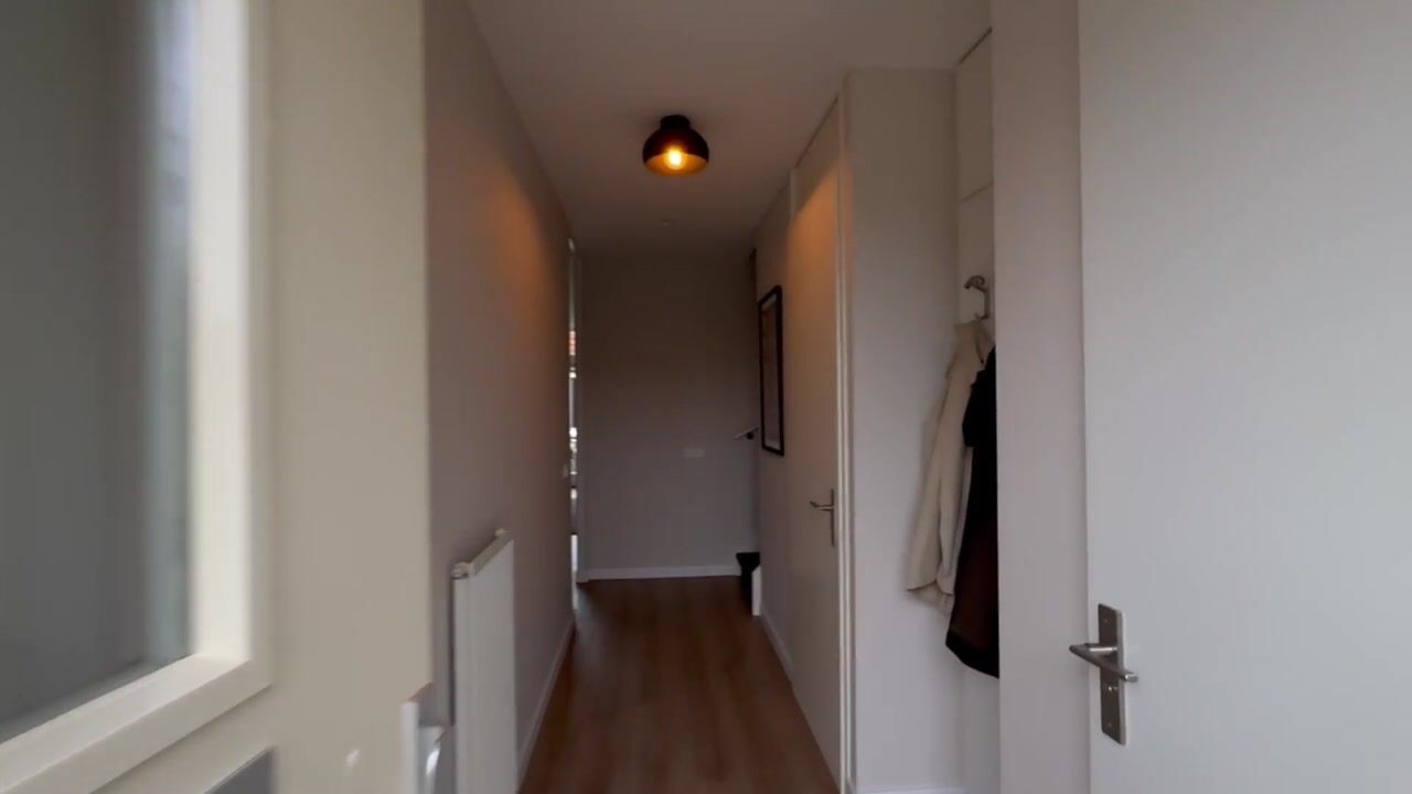 Video of Honingbij 5