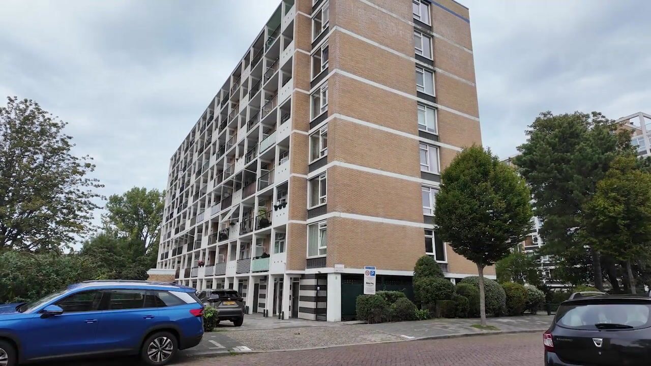 Video van Louis Davidsstraat 551