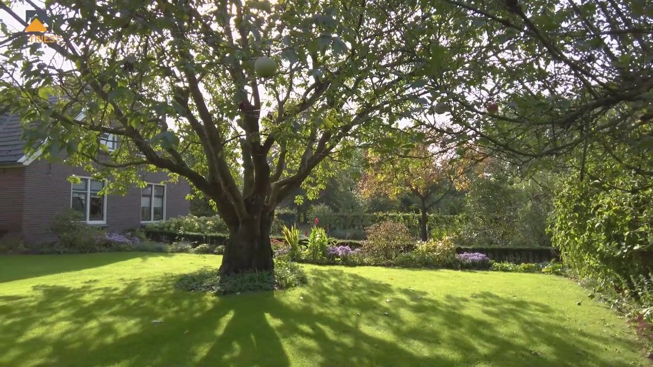 Video van Ganzenebbeweg 5