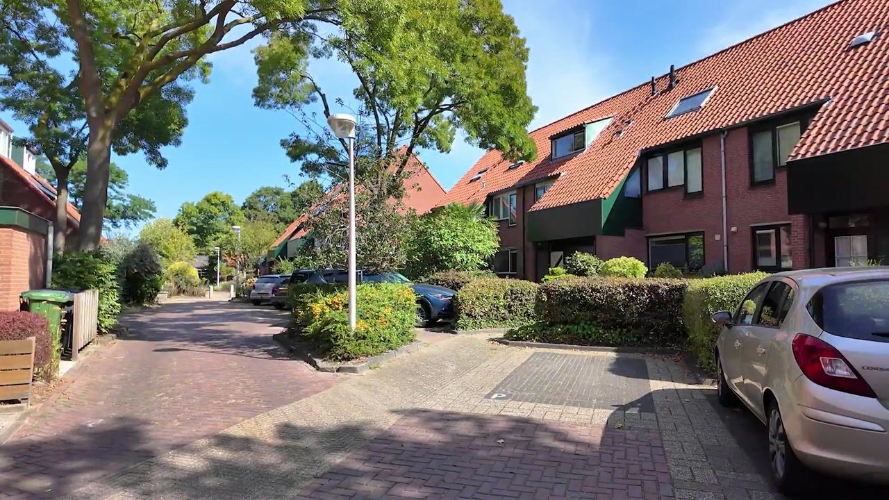 Video van Paardenbloem 12