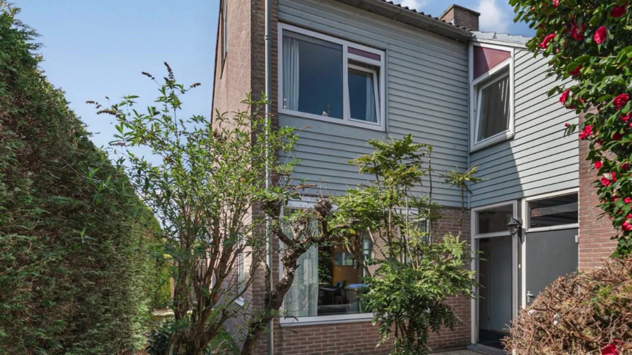 Video van Liniestraat 85