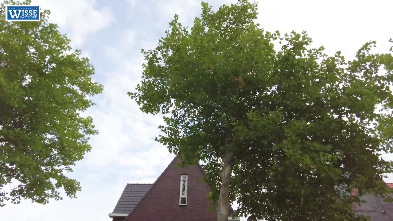 Video van Jazzroute 3