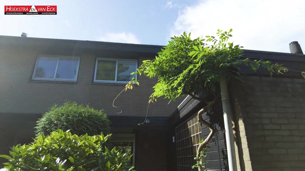 Video van Bosplaat 31