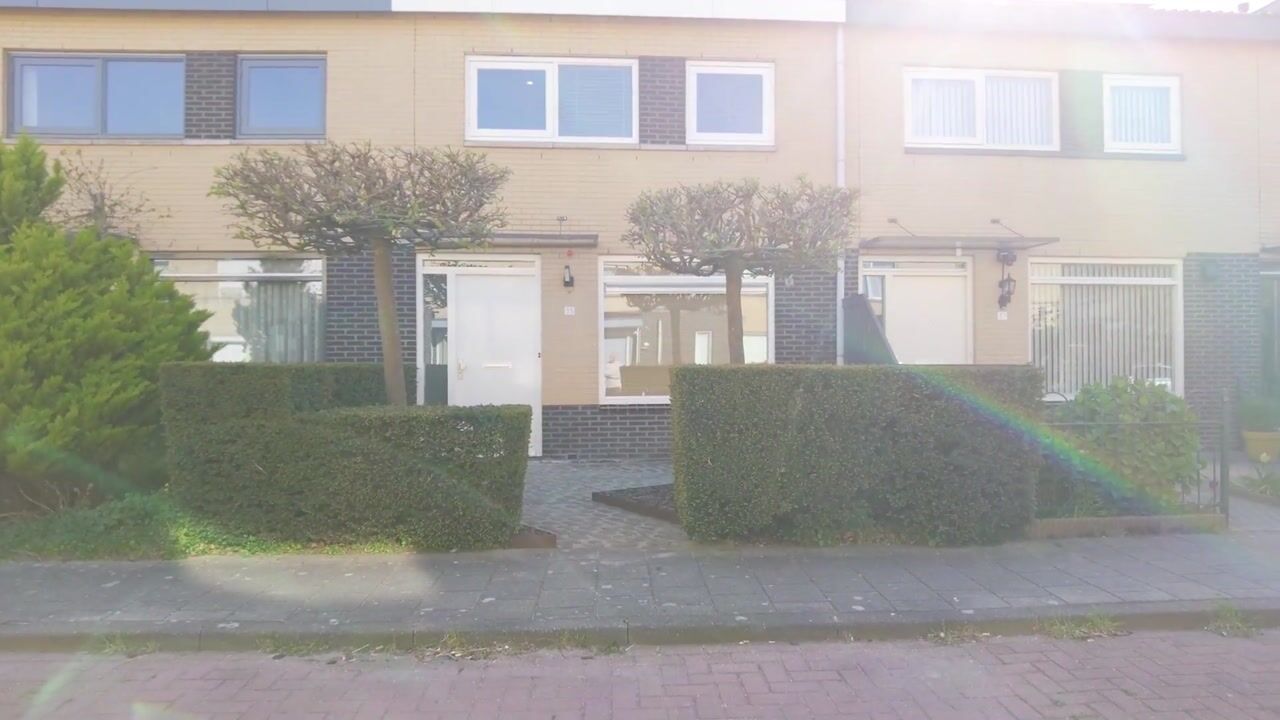 Video van Alligatorstraat 35