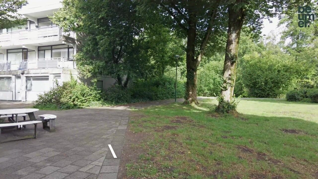 Video of Boomstede 382