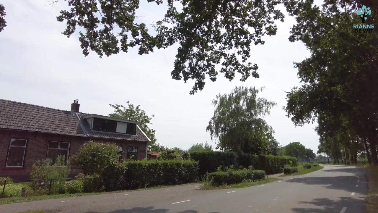Video van Grotebrugse Grintweg 4