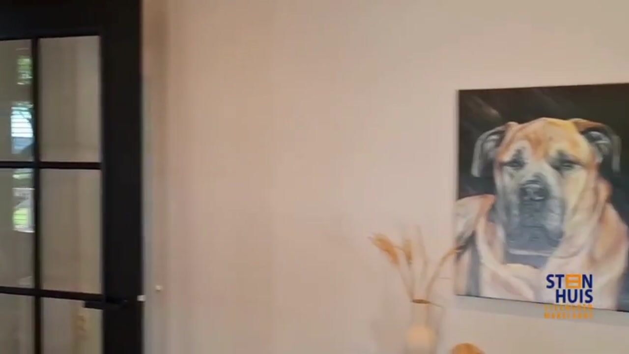 Video of Zeijerstroeten 22