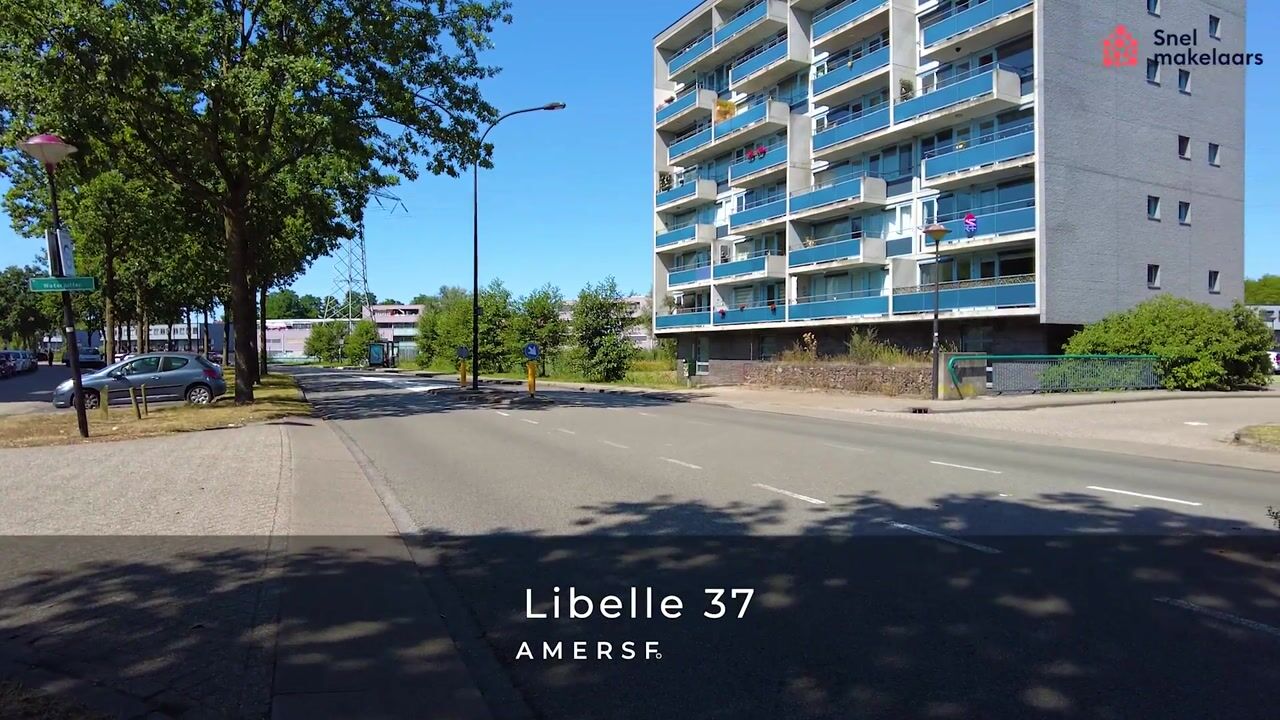 Video van Libelle 37