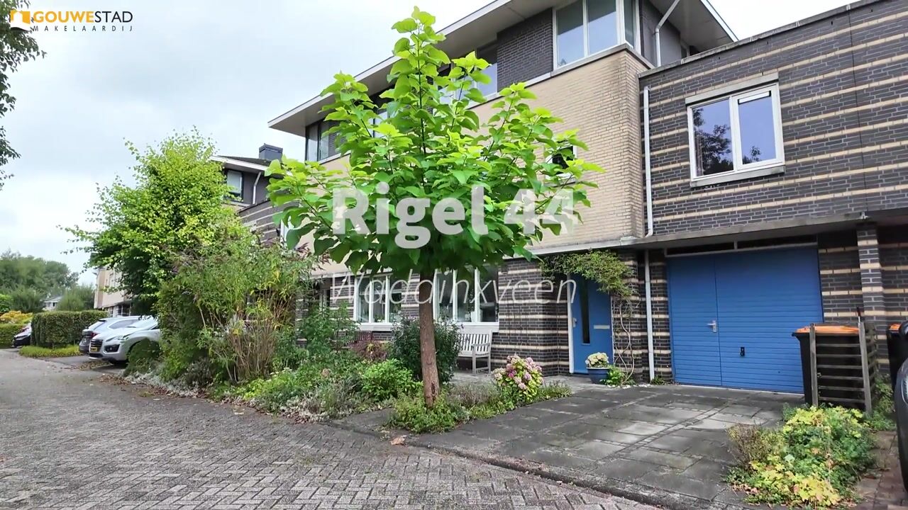 Video of Rigel 44