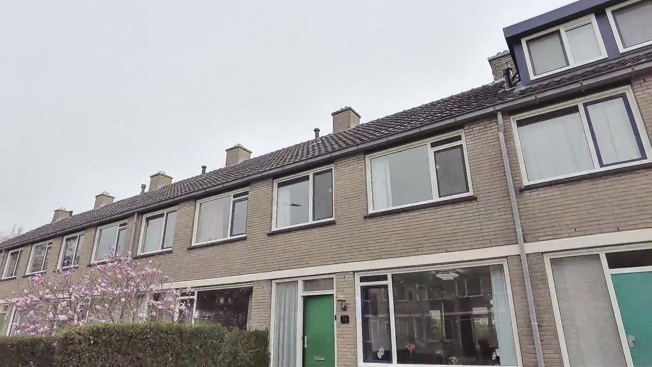 Video van Egelkruid 10