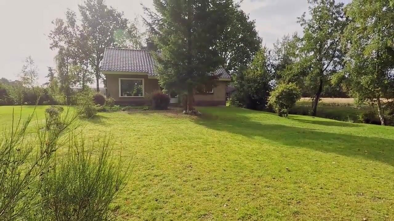 Video van Skeanewei 31