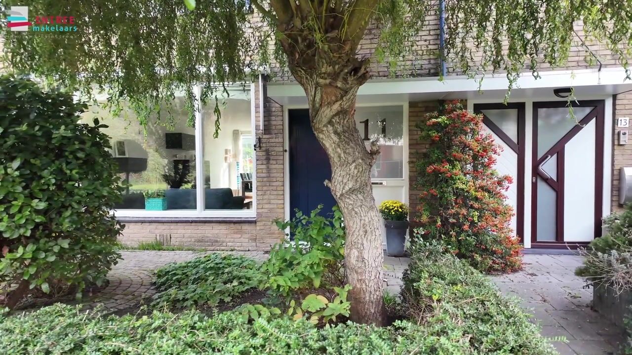 Video van Frankenplantsoen 11