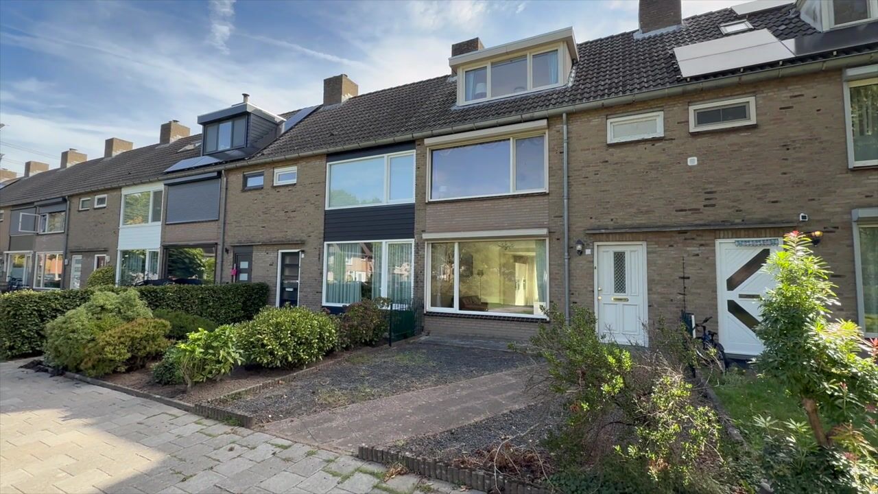 Video van Adelaertstraat 28