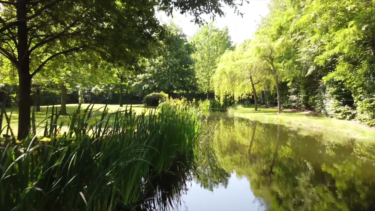 Video of Kapelstraat 28