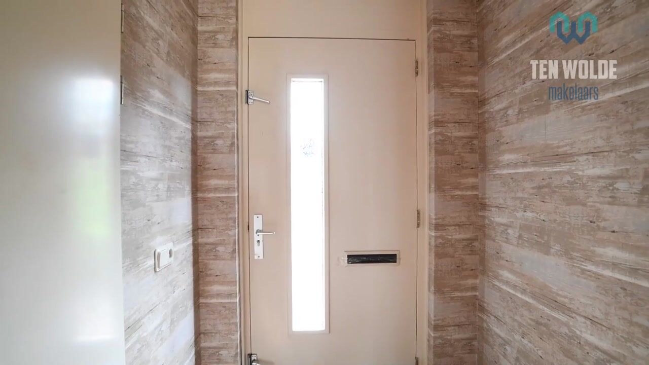 Video van Sneeuwuil 41