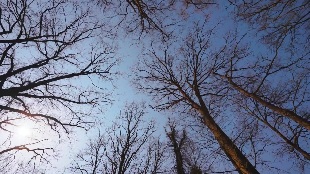 Video van Middelstebaan 3