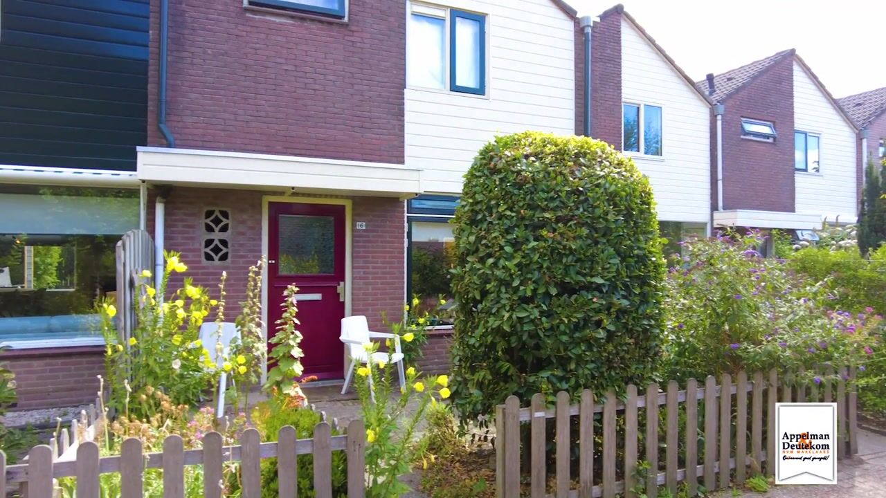 Video van Zandakker 18