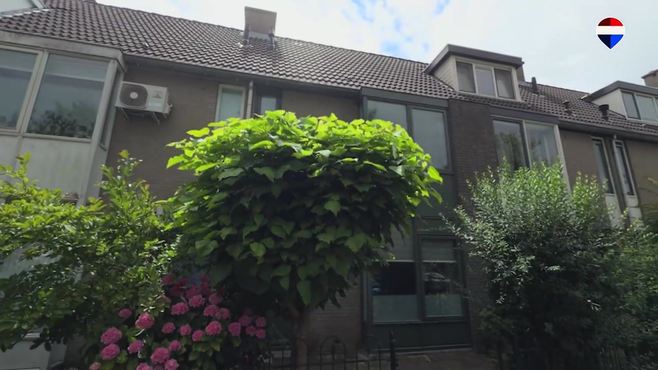 Video van Torenmolen 163