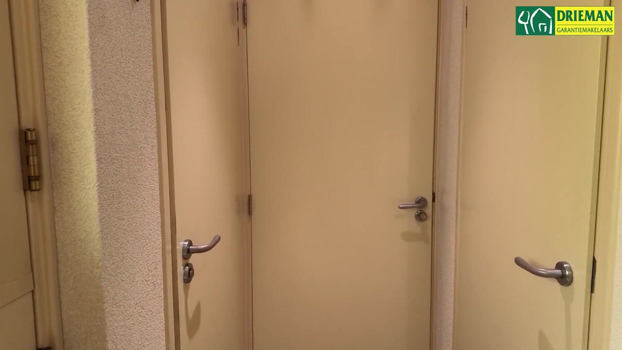 Video van Zwanebloem 11