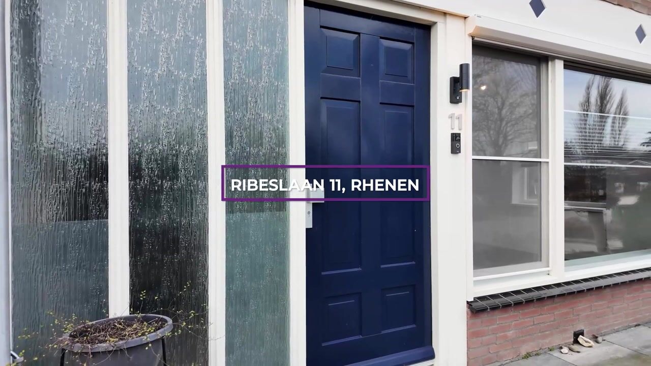 Video van Ribeslaan 11