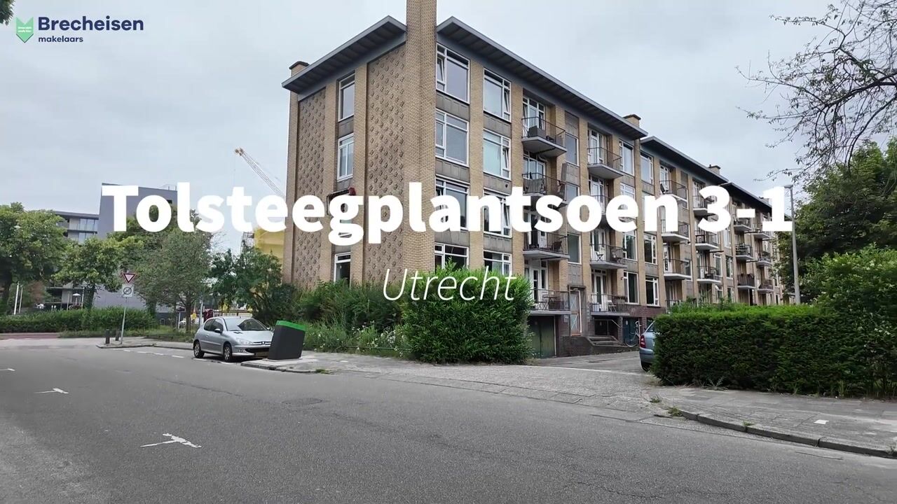 Video van Tolsteegplantsoen 3-1