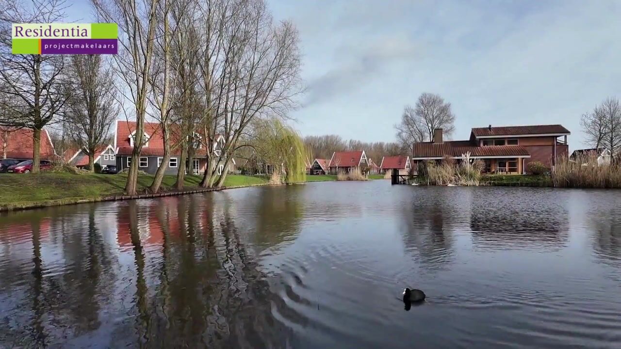 Video van Leuvenumse beek 40