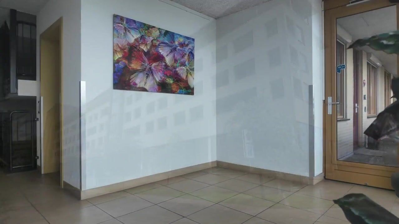 Video van De Arc 135