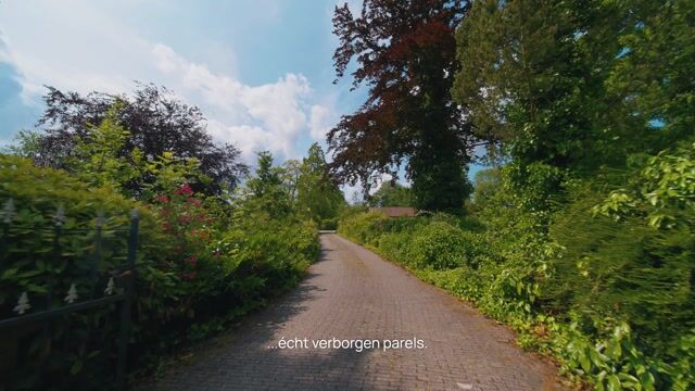 Video of Ganzeneiland