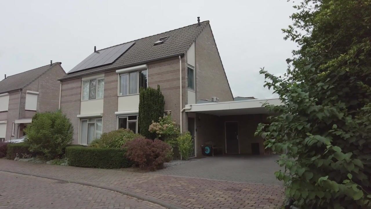 Video van Rijf 31