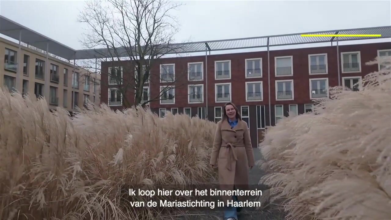 Video van Bellevuelaan 363