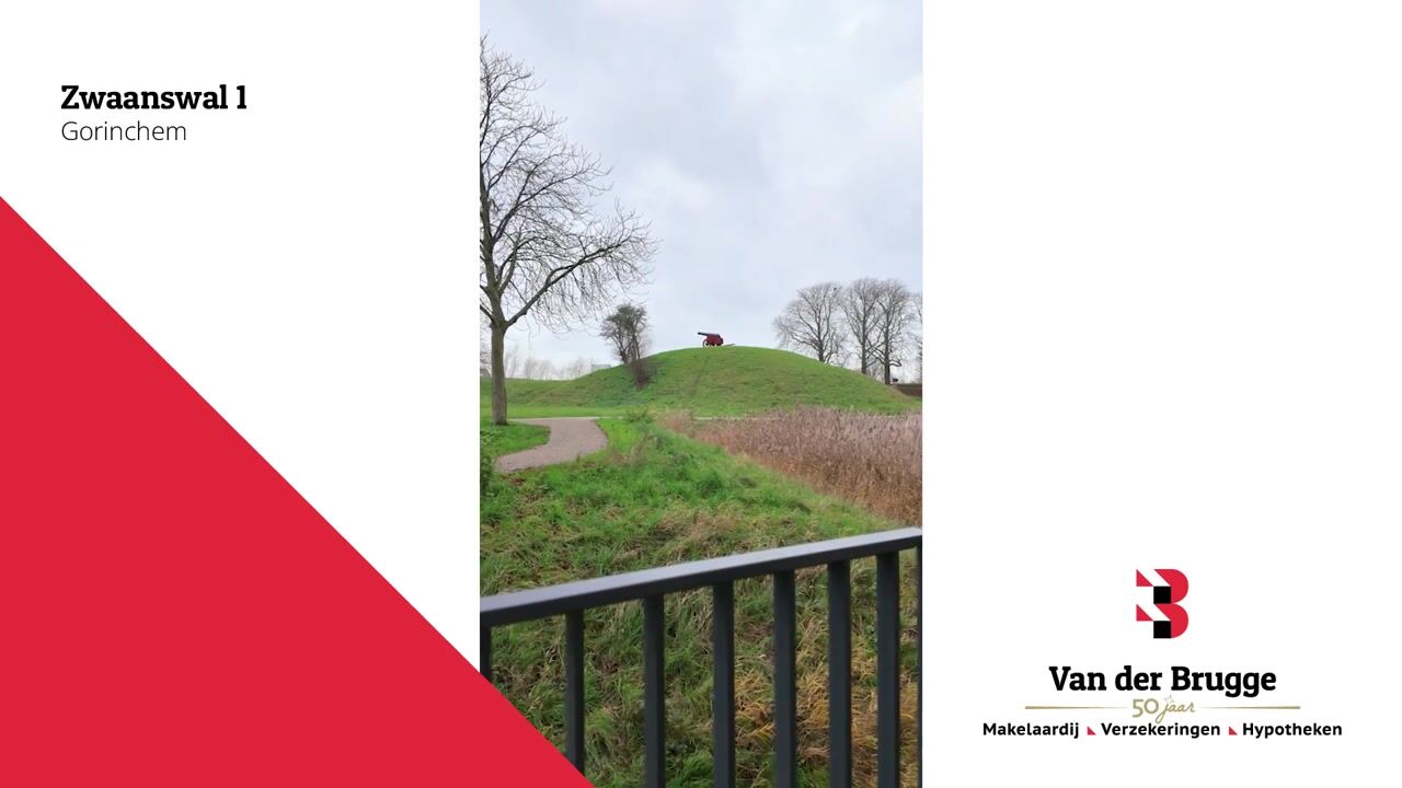 Video van Zwaanswal 1