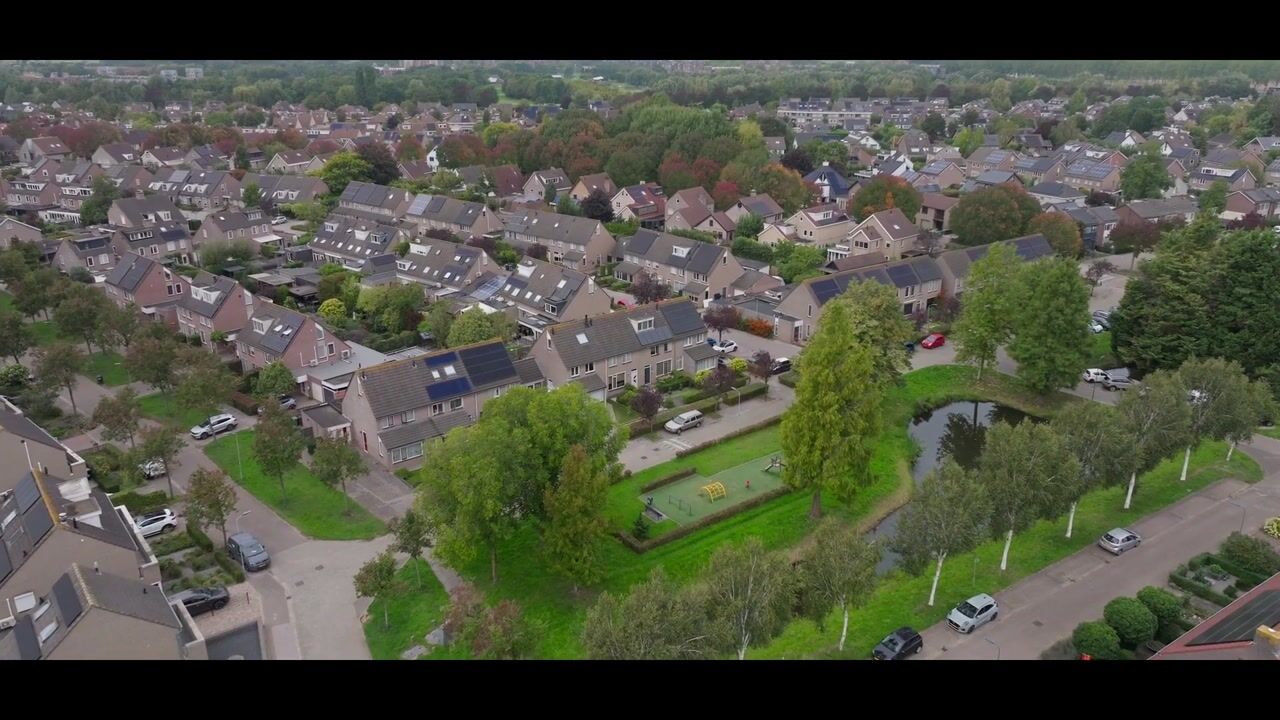 Video van Kokmeeuw 21