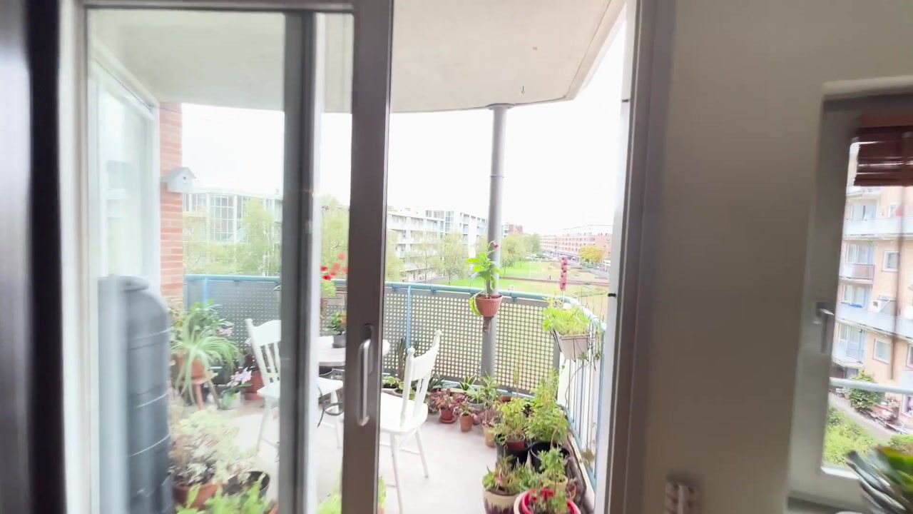 Video van Laan van Vlaanderen 208