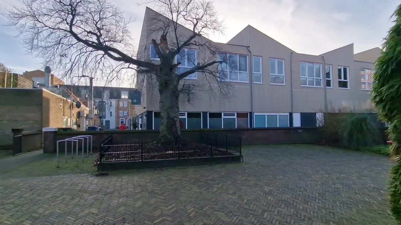 Video van Pauwstraat 11
