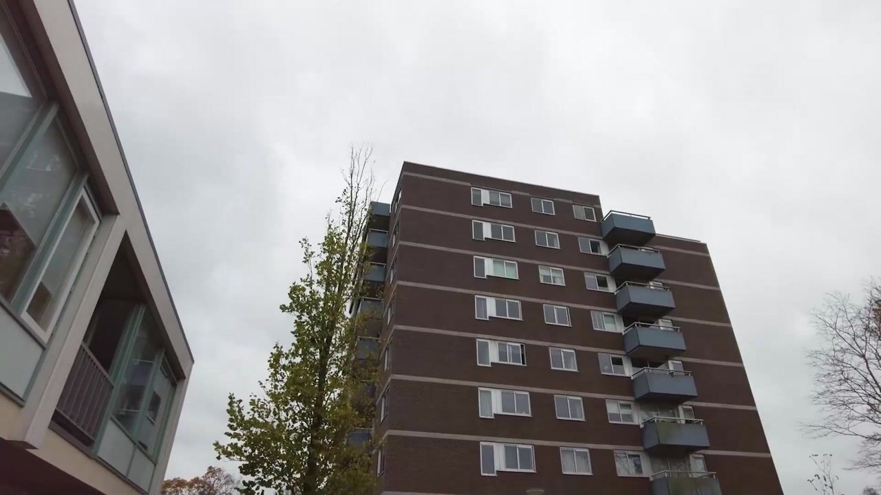 Video of Boterbloem 53