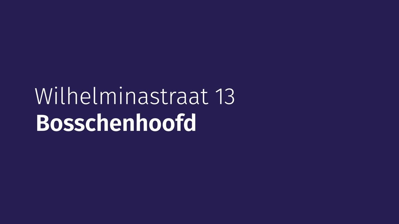 Video van Wilhelminastraat 13