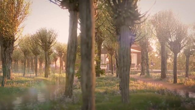 View video of Rijndael | De Griend