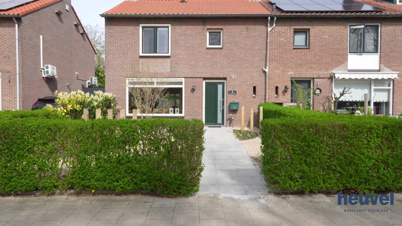 Video van Paltzstraat 17