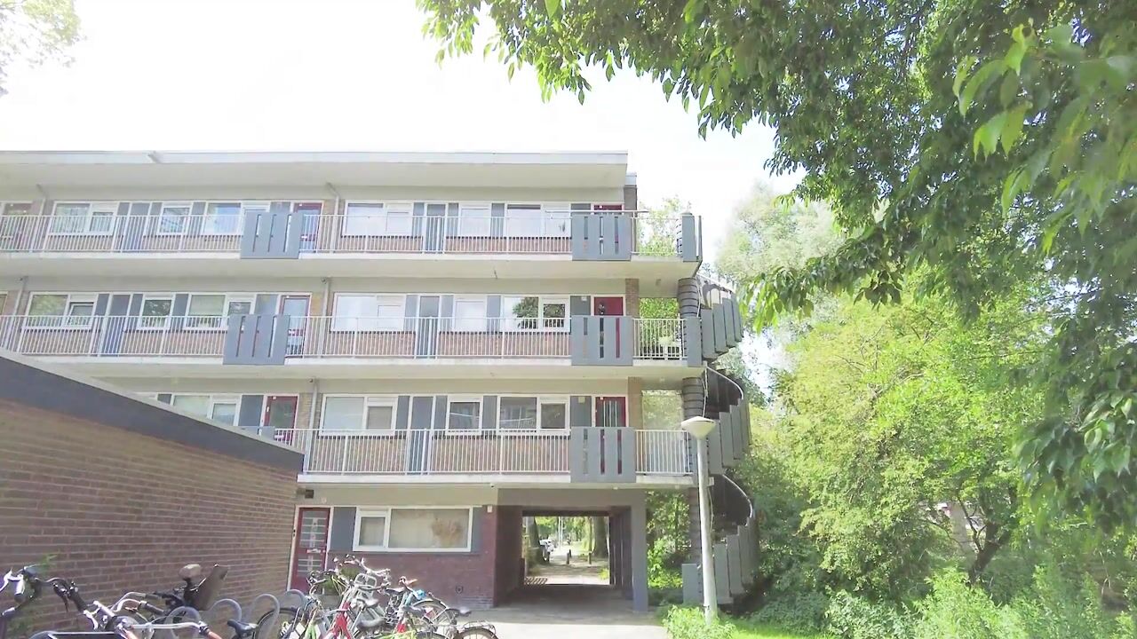 Video van Oldengaarde 52