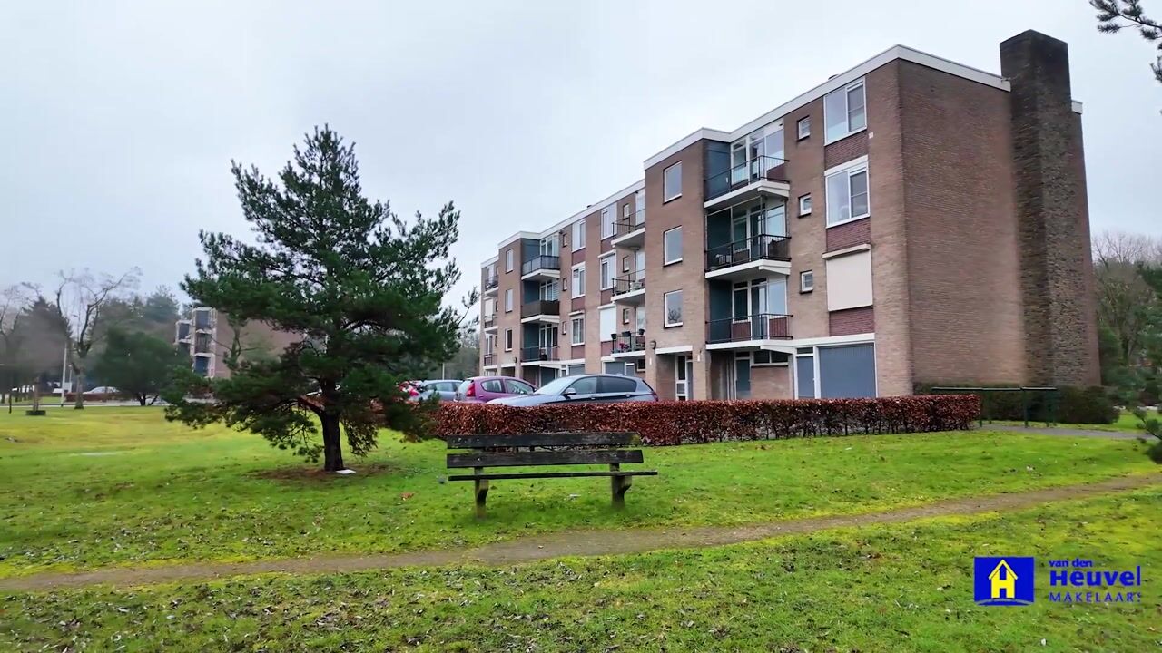 Video van Wilgenstraat 53